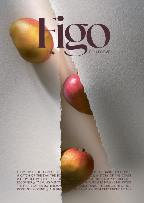Figo Collective Mag #3 (English Edition)